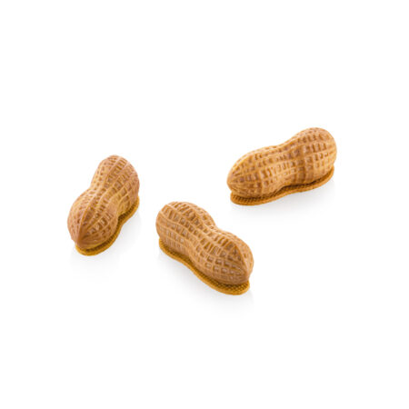 stampi in silicone per frutta realistica a forma di arachide
